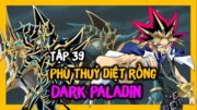 Quyết định Yugioh triệu hồi Dark Paladin | Review Yugioh Duel Monsters Tập 39