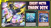 SHARK DECK STILL COMPETITIVE IN META – PC Gameplay JAN 2025 – Yugioh Duel Links