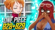 THE MEETING!! AND TENSION!! | One Piece Episode 828/829 Reaction