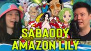 THE TERRIFYING CALM BEFORE THE STORM ☀️🐍 Reviewing Sabaody & Amazon Lily Arcs (One Piece Podcast)