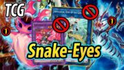 The banlist did… NOTHING? (Snake-Eyes TCG SEPT 2024)