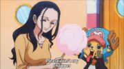 Top Moments from One Piece (Egghead Arc and Beyond Compilation) 2025 funny