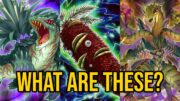 Zoologist Reviews Predaplant Archetype from Yu-Gi-Oh!