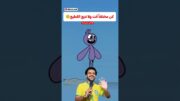 كن مختلفاً ولا تتبع القطيع😊😳#shorts #shortvideo #shortsvideo #shortsfeed #shortvideos #youtubeshorts